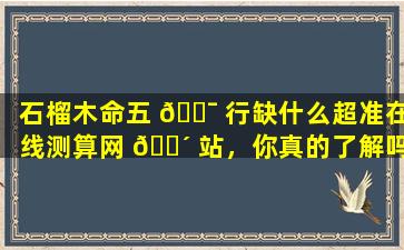 石榴木命五 🐯 行缺什么超准在线测算网 🐴 站，你真的了解吗